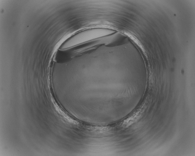 X0000066530941200604071613