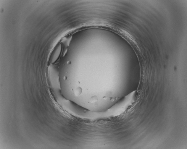 X0000066530942200604071613