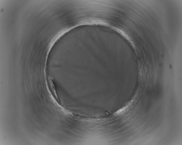 X0000066530943200604071613