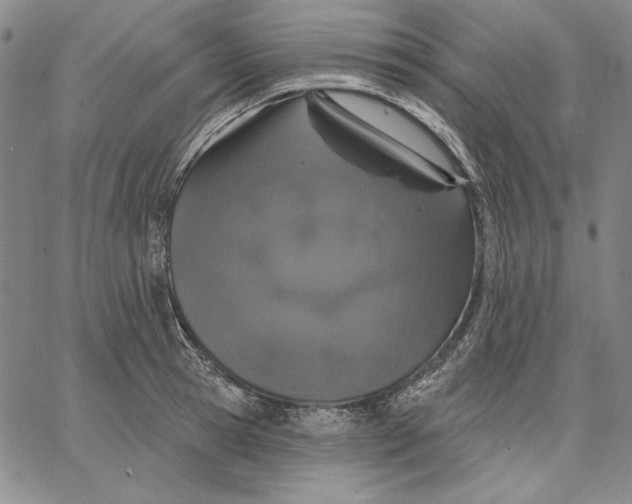 X0000066530945200604071613