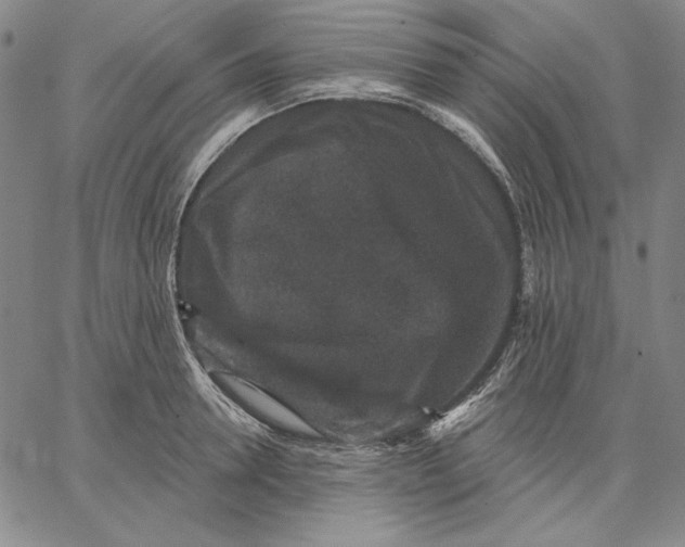 X0000066530946200604071613