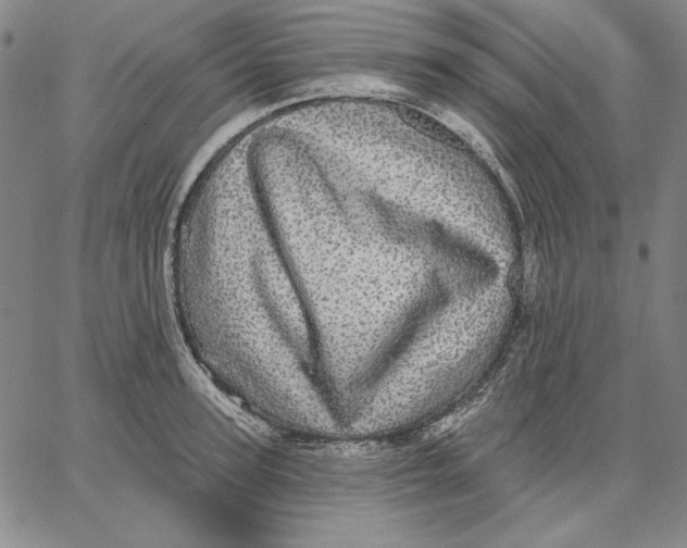 X0000066530947200604071613