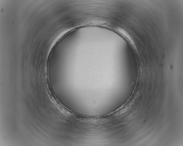 X0000066530948200604071613