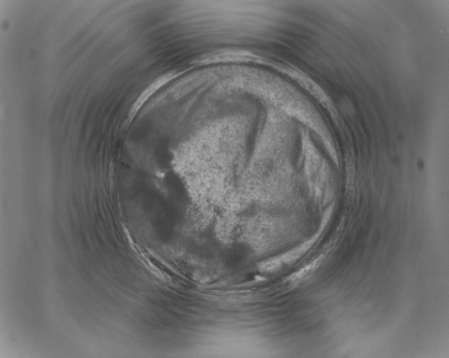 X0000066530953200604071613