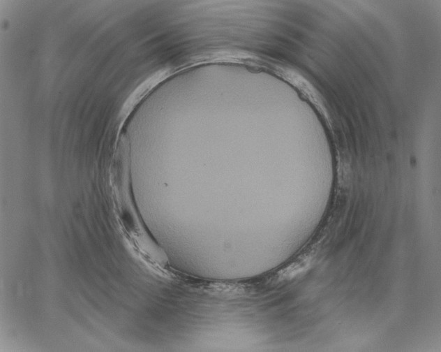 X0000066530954200604071613