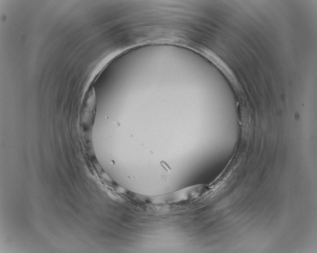 X0000066530956200604071613