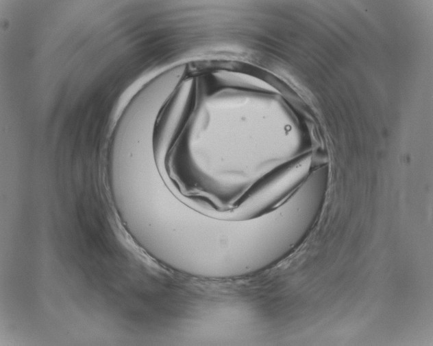 X0000066530960200604071614