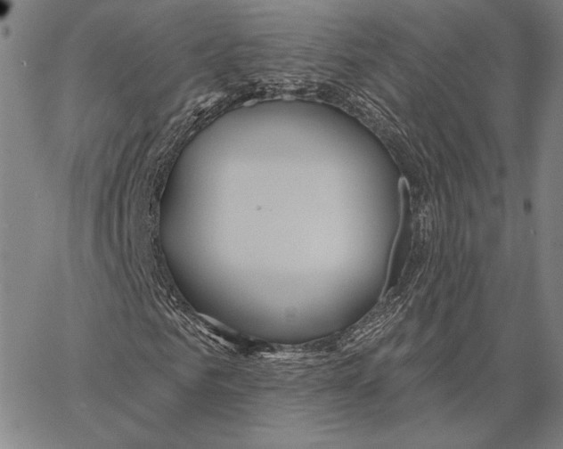 X0000066530961200604071613