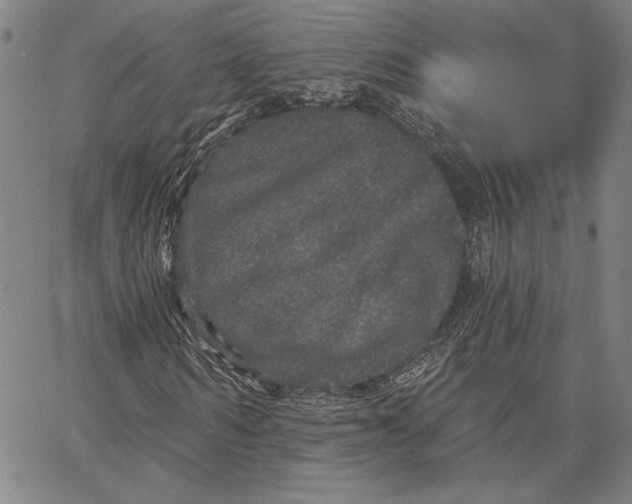 X0000066530962200604071613