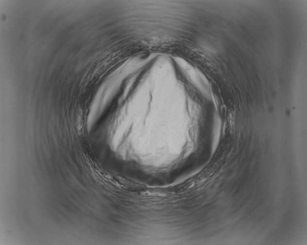 X0000066530963200604071613