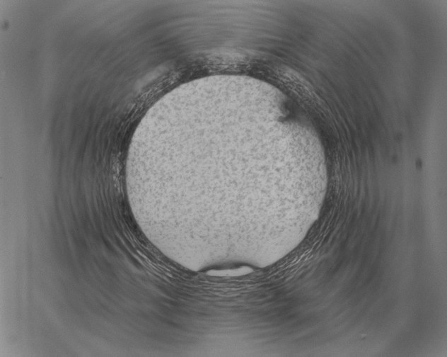 X0000066530964200604071613