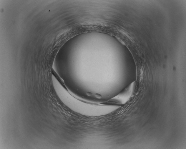 X0000066530965200604071613