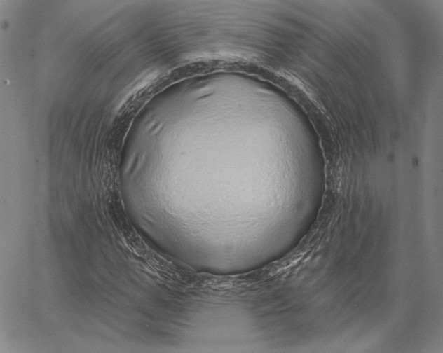 X0000066530967200604071613