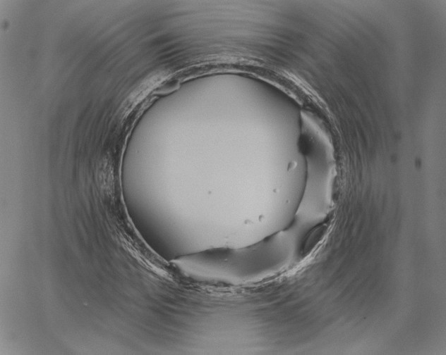 X0000066530969200604071613