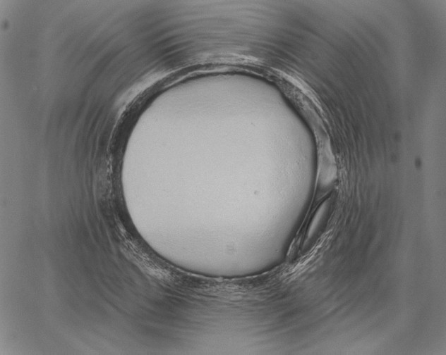 X0000066530971200604071613