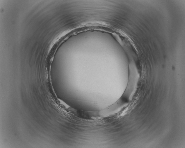 X0000066530973200604071613