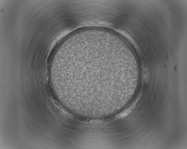 X0000066530974200604071613