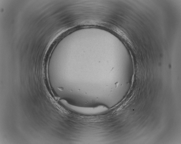 X0000066530976200604071613