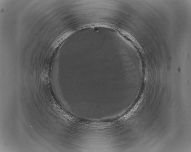 X0000066530977200604071613