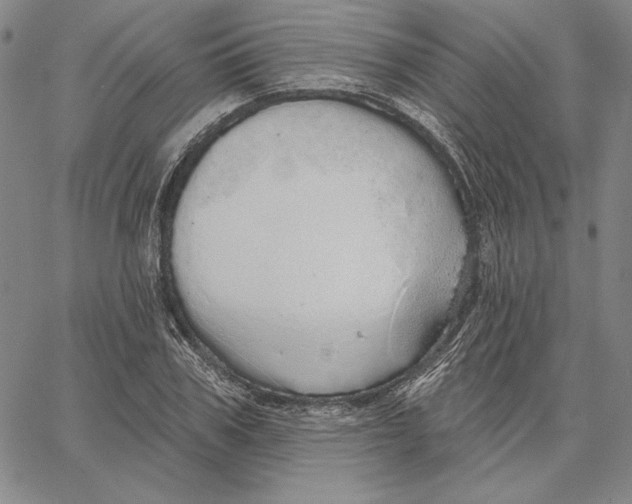 X0000066530979200604071612