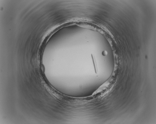 X0000066530981200604071612