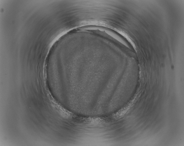 X0000066530983200604071612