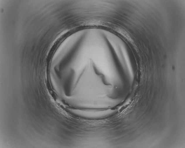 X0000066530984200604071612