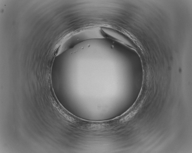 X0000066530985200604071612