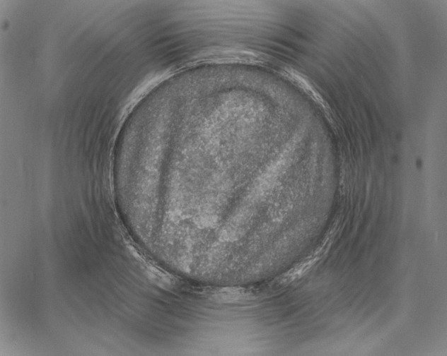 X0000066530986200604071612