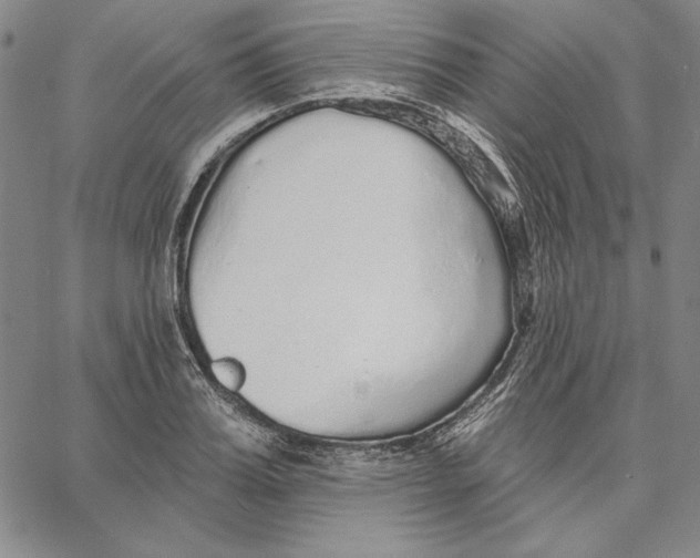 X0000066530987200604071612