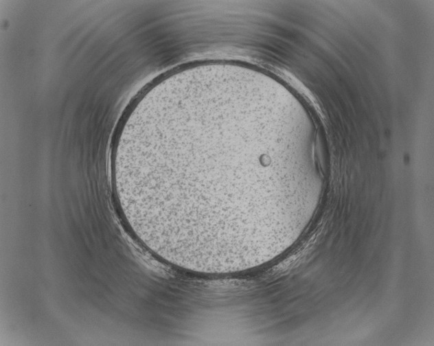 X0000066530988200604071612