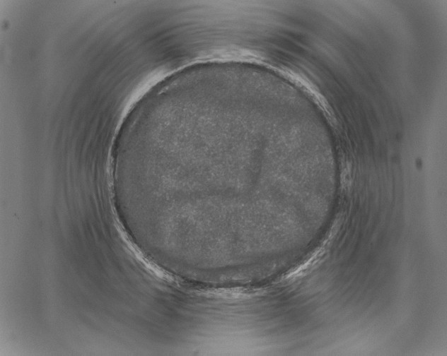 X0000066530990200604071612