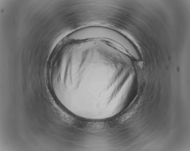 X0000066530991200604071612