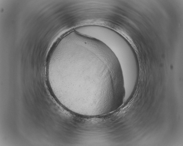 X0000066530992200604071612