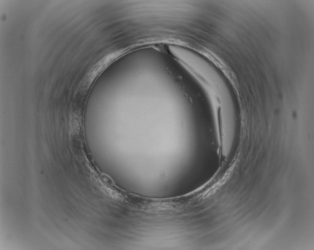 X0000066530993200604071612