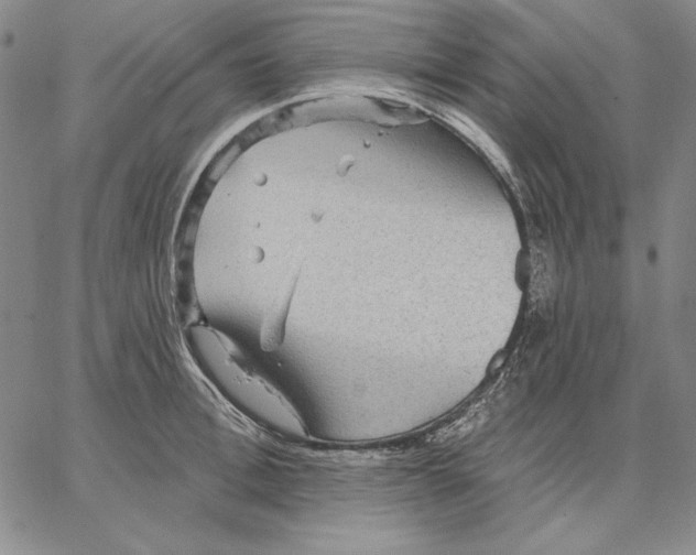 X0000066530996200604071612