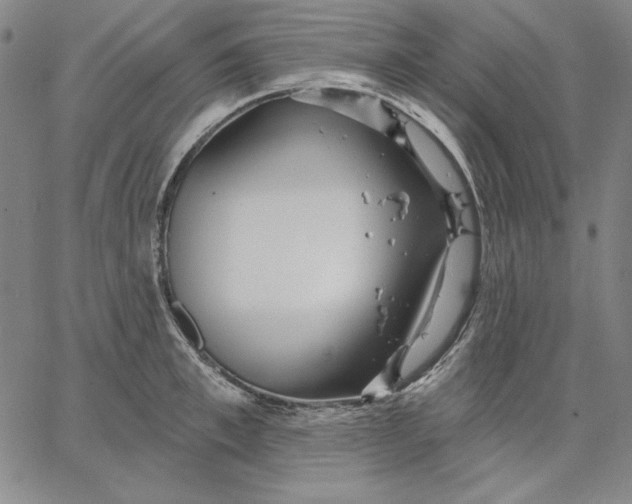 X0000066530997200604071612