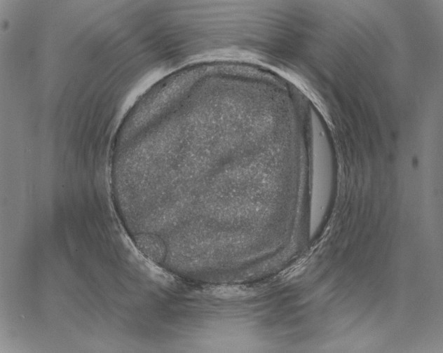 X0000066530998200604071612