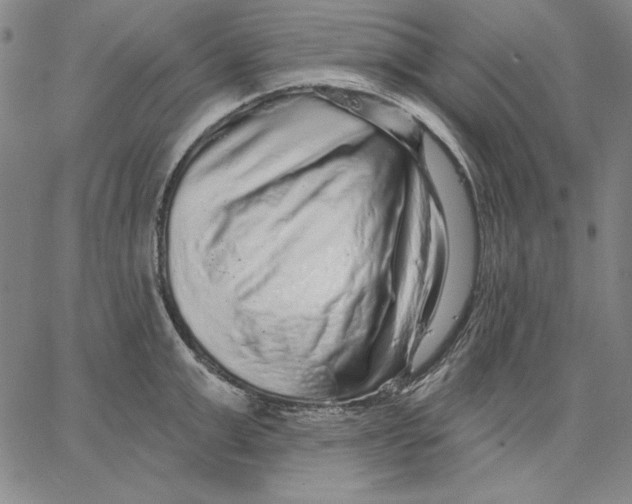 X0000066530999200604071612