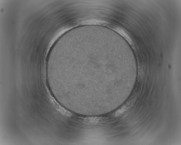 X0000066531000200604071612