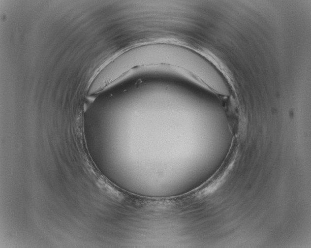 X0000066531001200604071612