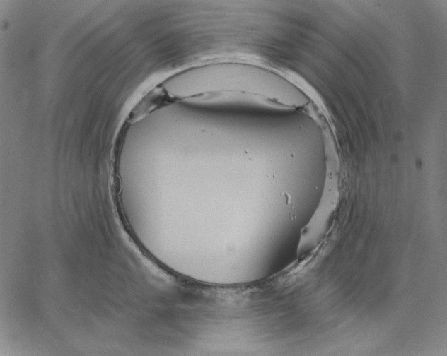 X0000066531005200604071612