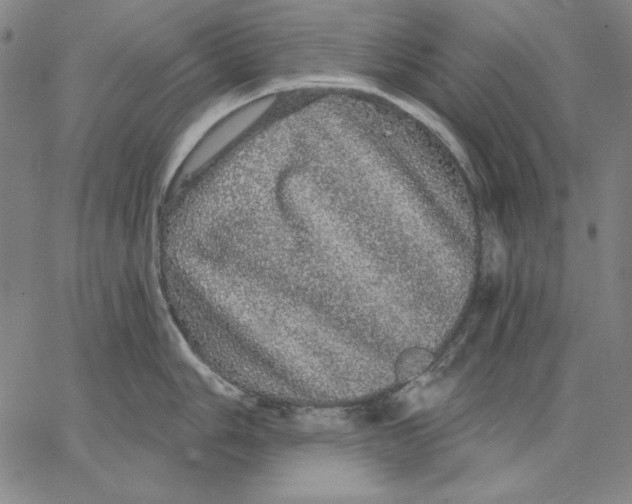 X0000066531006200604071612