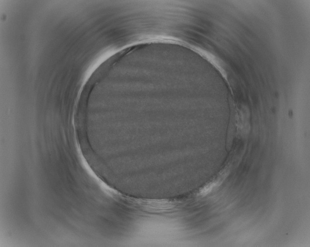 X0000066531007200604071612