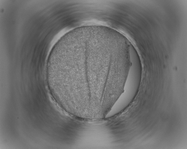 X0000066531008200604071612