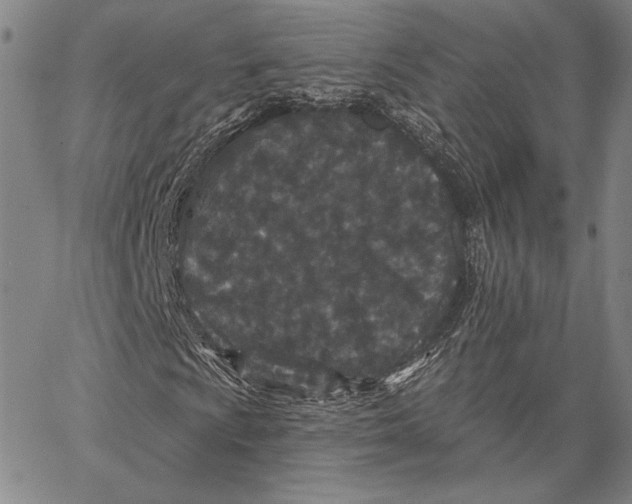 X0000066531009200604071611