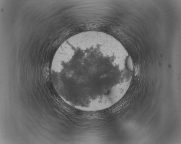 X0000066531011200604071611