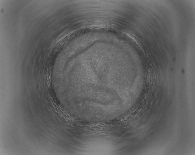 X0000066531015200604071611