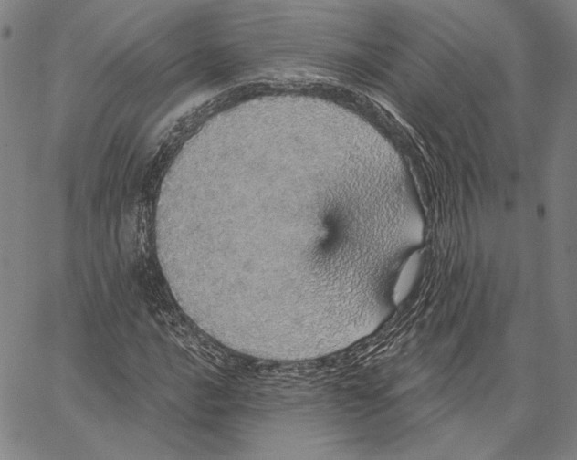 X0000066531016200604071611