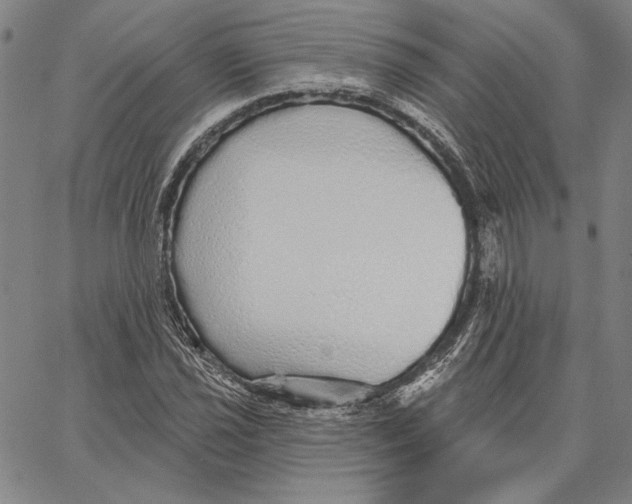 X0000066531021200604071611